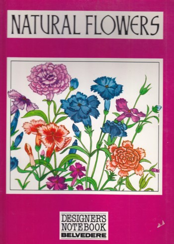 Image for Natural Flowers: basic motifs of natural flowers, plants and herbs