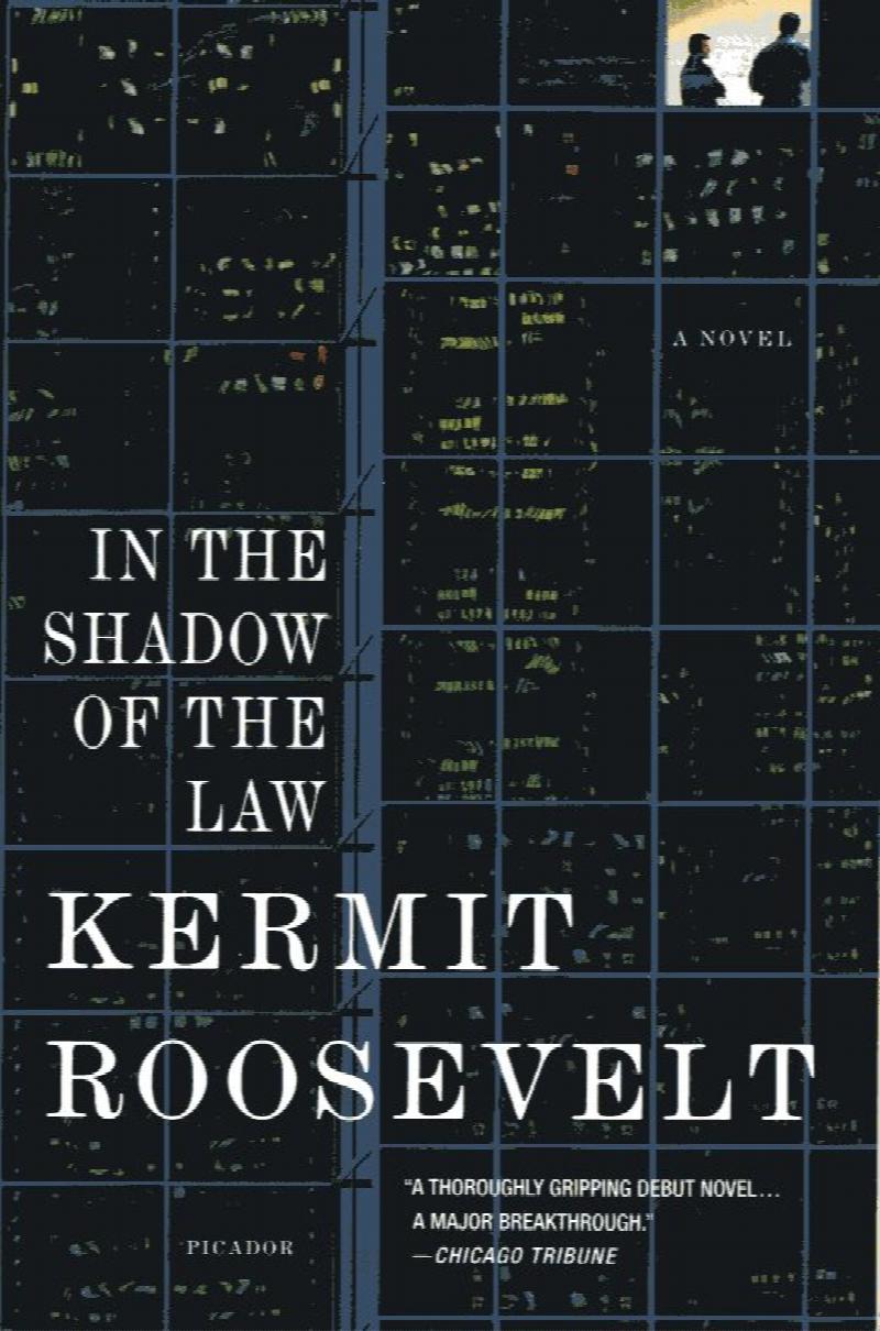 Image for In the Shadow of the Law