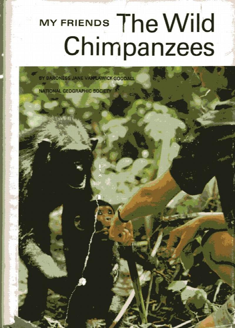 Image for My Friends: the Wild Chimpanzees